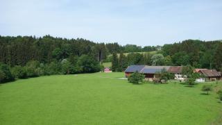 Erwins Ferien Paradies - Diezlings - 5