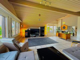 LakeVIEW Penthouse in the heart of Switzerland - Sempach - 8