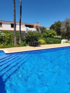 Feliz Apartments - São Bartolomeu de Messines - 6