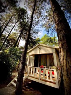 Pine Hill Villas & Camping - 5