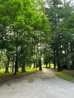 Château de Sérignac - 3
