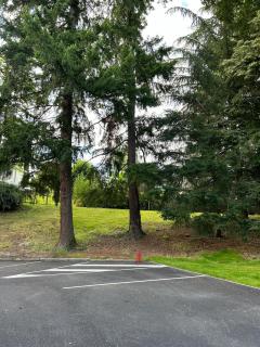 Château de Sérignac - 2