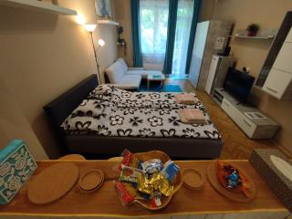 Flower Studio Apartment - Budapest - 0