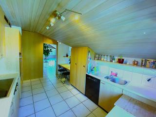 LakeVIEW Penthouse in the heart of Switzerland - Sempach - 6