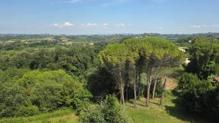 La Torretta - Lari - 0