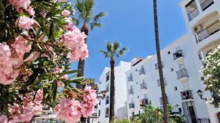 Beautiful Beachfront Newly Renovated 2 Bedroom Apartment with Swimming Pool and Garden - San Luis de Sabinillas - 8