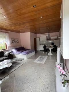 Studio apartman Anita - Velika Gorica - 1