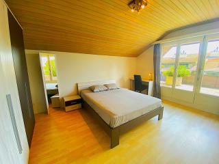 LakeVIEW Penthouse in the heart of Switzerland - Sempach - 2