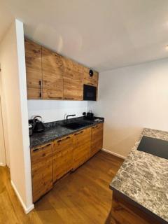 LOUBATIERE, Superbe Appartement rénové au Coeur de la Station - Monginevro - 2