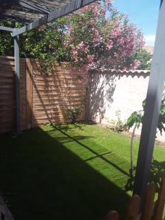 La Bergeronnette - 6