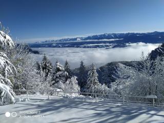 Vue sur Belladonna - Saint-Nizier-du-Moucherotte - 9