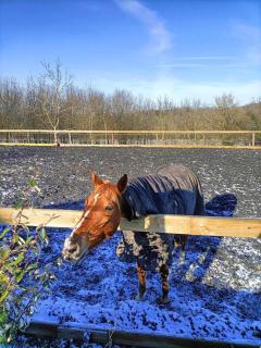 Studio indépendant - 2