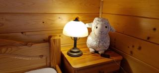 Domek z kominkiem Pod Limbą - Zakopane - 1