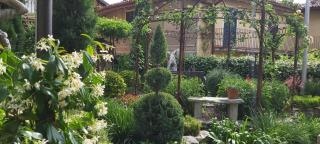 Suite vista panoramica giardino e montagne - Magreglio - 3
