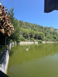 Hotel Cesma Kasines lleshanaku - - 1