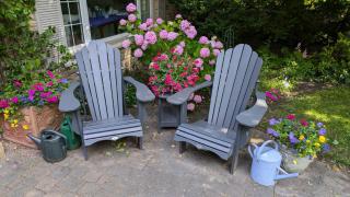 Greater Toronto B&B - Oakville - 9