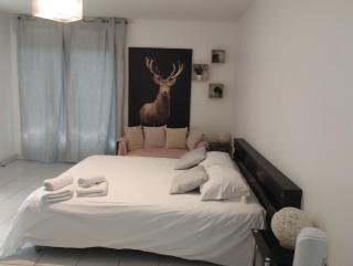 Chaleureux Studio - Toulouse - 0