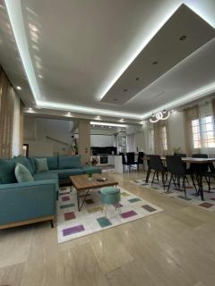beautiful villa - 1