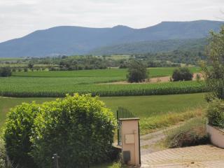 Studio spacieux, route des vins - Rosheim - 9