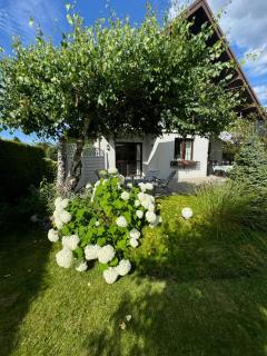 Lawendowy Zakątek Kopalino - 9