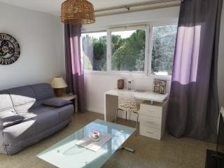 Joli studio lumineux proche centre ville Avignon - 0