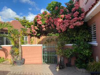 Budgie's 2 Studio - 2