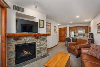 RF219 Hot tub,Heated garage and Parking - Snowshoe - 7