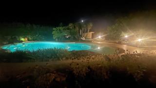 Le Vieux Murier - Chambres d'hôte - Hyères - 4