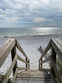 Sunny Paws - Cape San Blas - 5