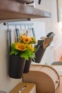 Apartmán U dvou slunečnic - Černé Údolí - 3