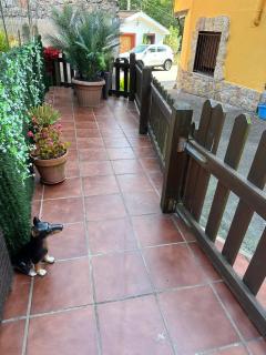 Casa rural - Mestas del Con - 9