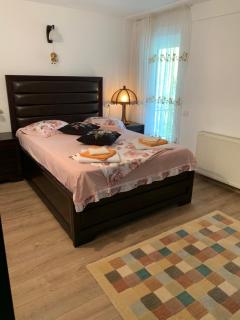 Casa cu Mesteceni Calimanesti - Căciulata - 9