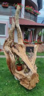 Casa cu Mesteceni Calimanesti - Căciulata - 5