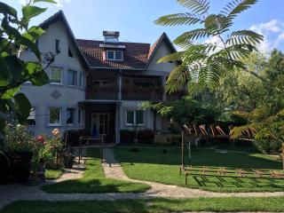 Casa cu Mesteceni Calimanesti - Căciulata - 1