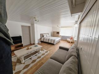 Appartement " Le Chardonneret " - Issenheim - 5