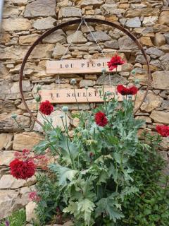 LE SOULEILHOU, 4/6 pax, Gîte, Pyrénees, rando,calme&nature - Oust - 0