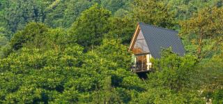 Road Inn - Superior Chalet - Qorolist'avi - 5