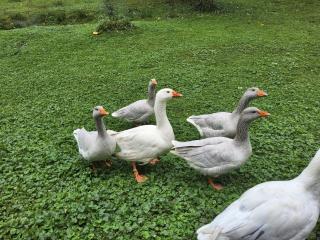 Ferienwohnung Am Neetzetal - 5