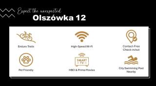 Apartament Olszowka 12 Bielsko - Biała - Bielsko-Biała - 9