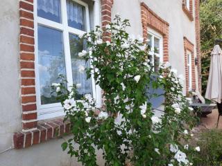 Apartment in the Alt Krassow manor house - Krassow - 9