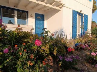 Naxian Sofias garden - Naxos Chora - 7