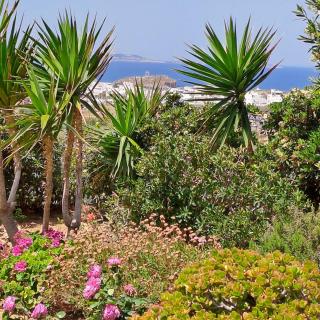 Naxian Sofias garden - Naxos Chora - 8