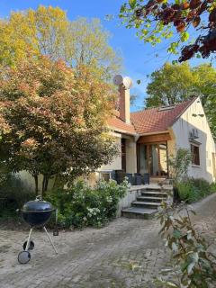 Maison avec espace cinéma - Le Plessis-Trévise - 4