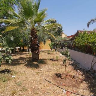 La casa della nonna - 6