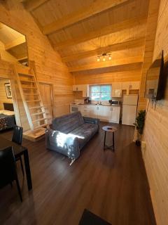 3 Bedroom Point Cottage On Muskoka Shores - Seguin - 3