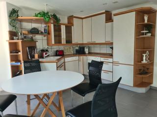 Urban Oasis Apartment - Wohlen - 7