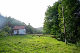 Nature House Ella - Trnovo - 7