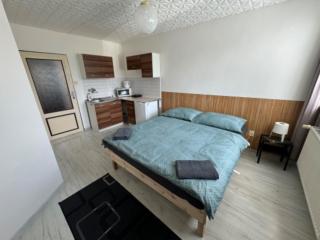 Penzion a Rybářská bašta U Jesetera - 7