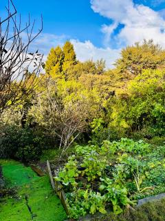 Natures own guesthouse - Auckland - 4