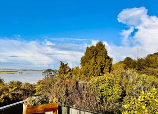 Natures own guesthouse - Auckland - 5